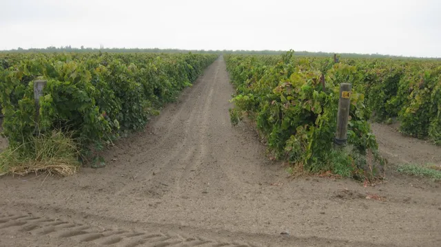 $1,450,000 | 2738 East Rose Avenue, Fresno, CA 93725