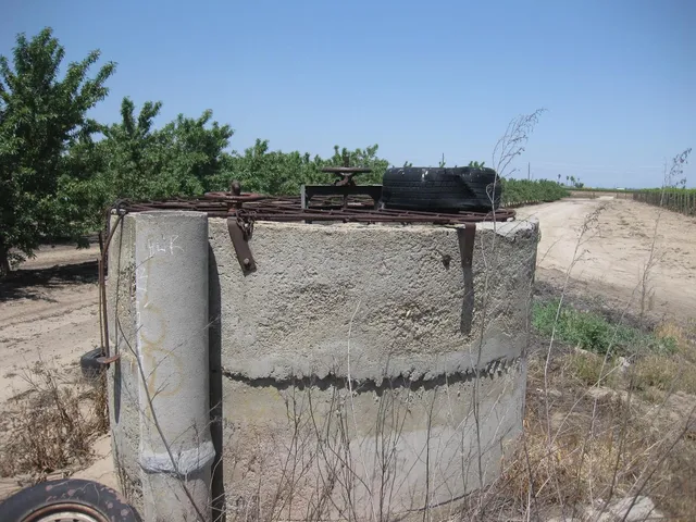 a bird view of a tree with a wooden fence