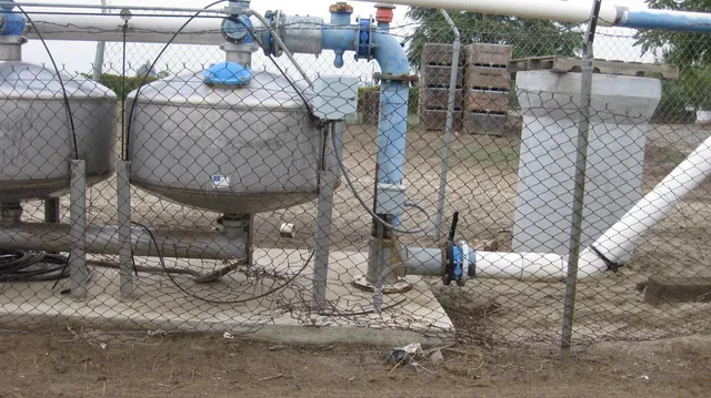 a view of a lush green forest