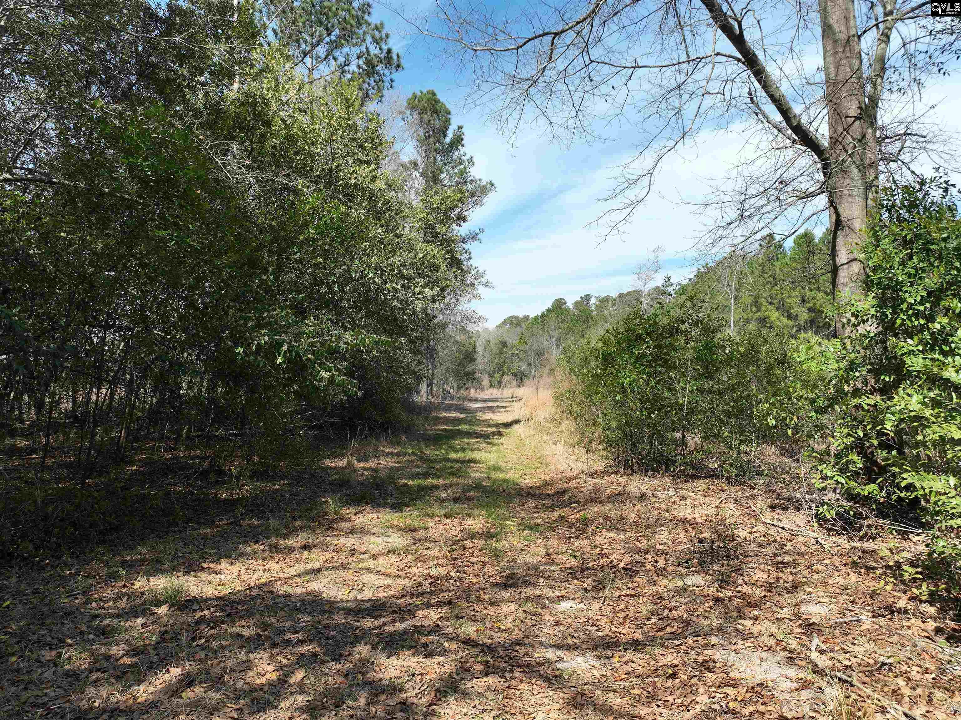 0 Dr Boylston Road Salley, SC 29137 - Photo 17 of 41