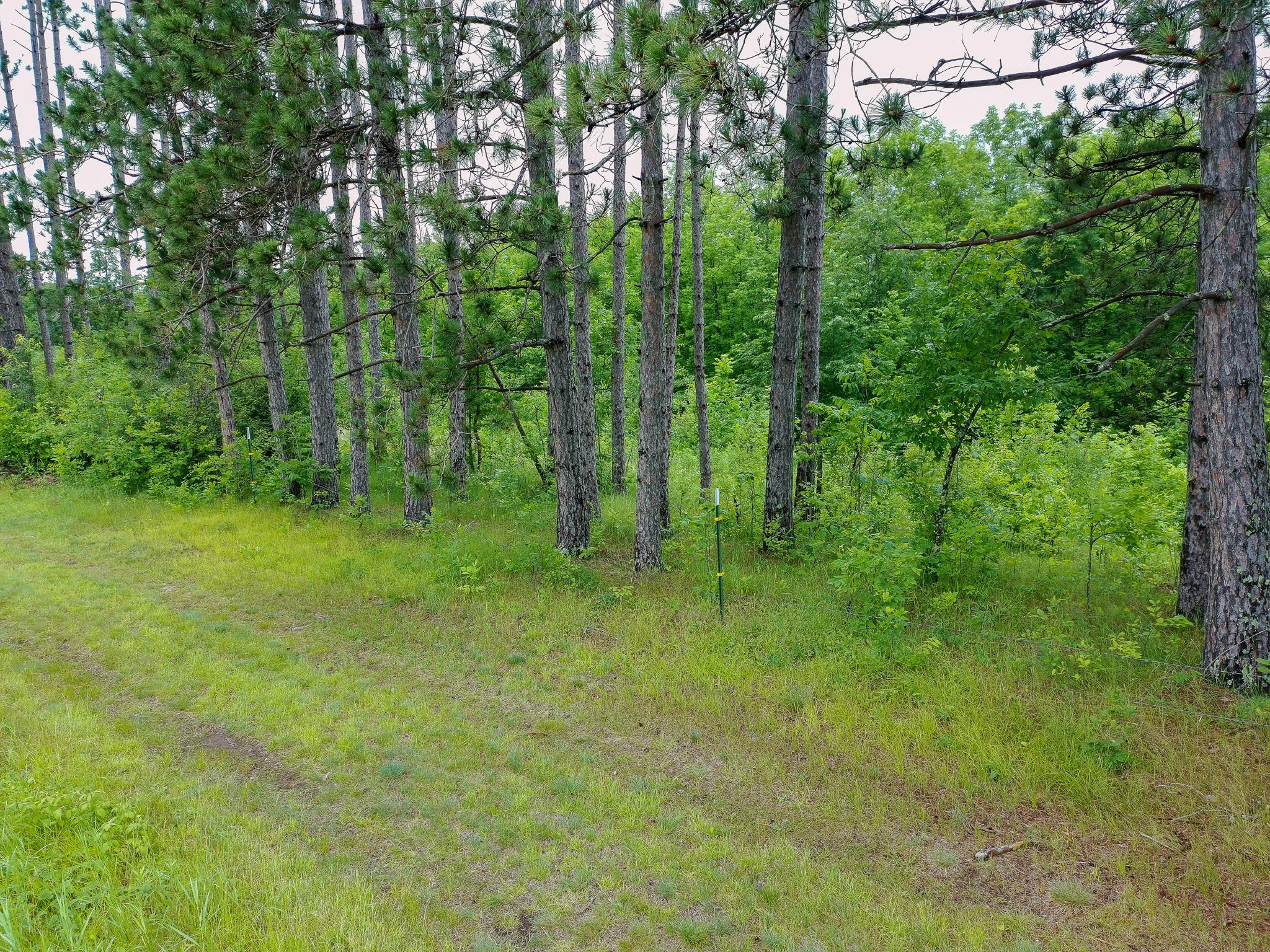 Tbd-2 North Riverside Road Moose Lake, MN 55767 - Photo 11 of 12