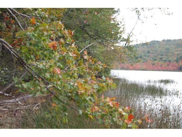 Tbd Stocker Pond Road Grantham, NH 03753 - Photo 1 of 7