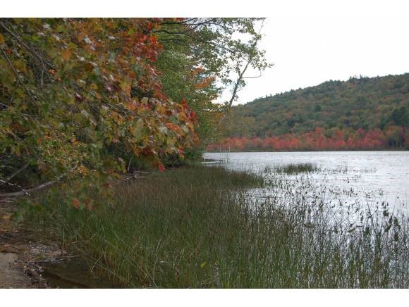 Tbd Stocker Pond Road Grantham, NH 03753 - Photo 4 of 7