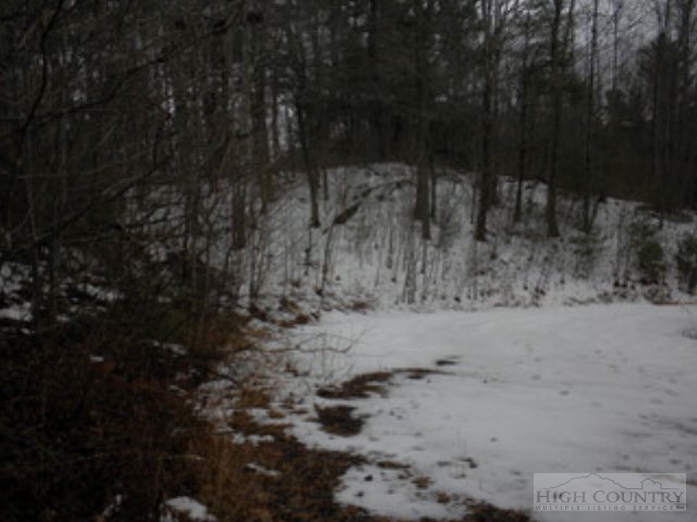 Lot 12 Rosa Road Warrensville, NC 28693 - Photo 3 of 4