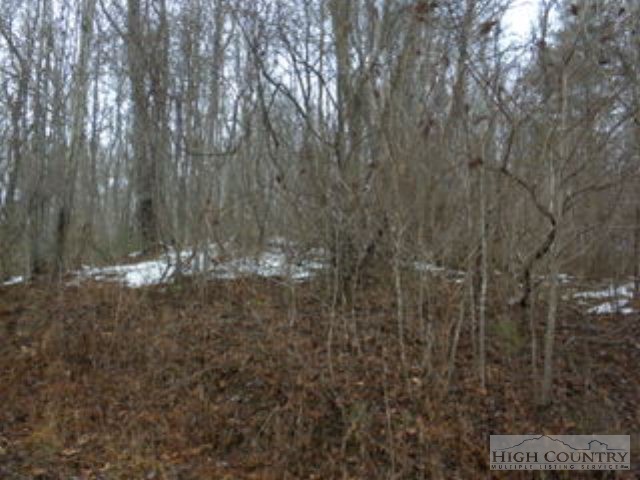 Lot 12 Rosa Road Warrensville, NC 28693 - Photo 4 of 4
