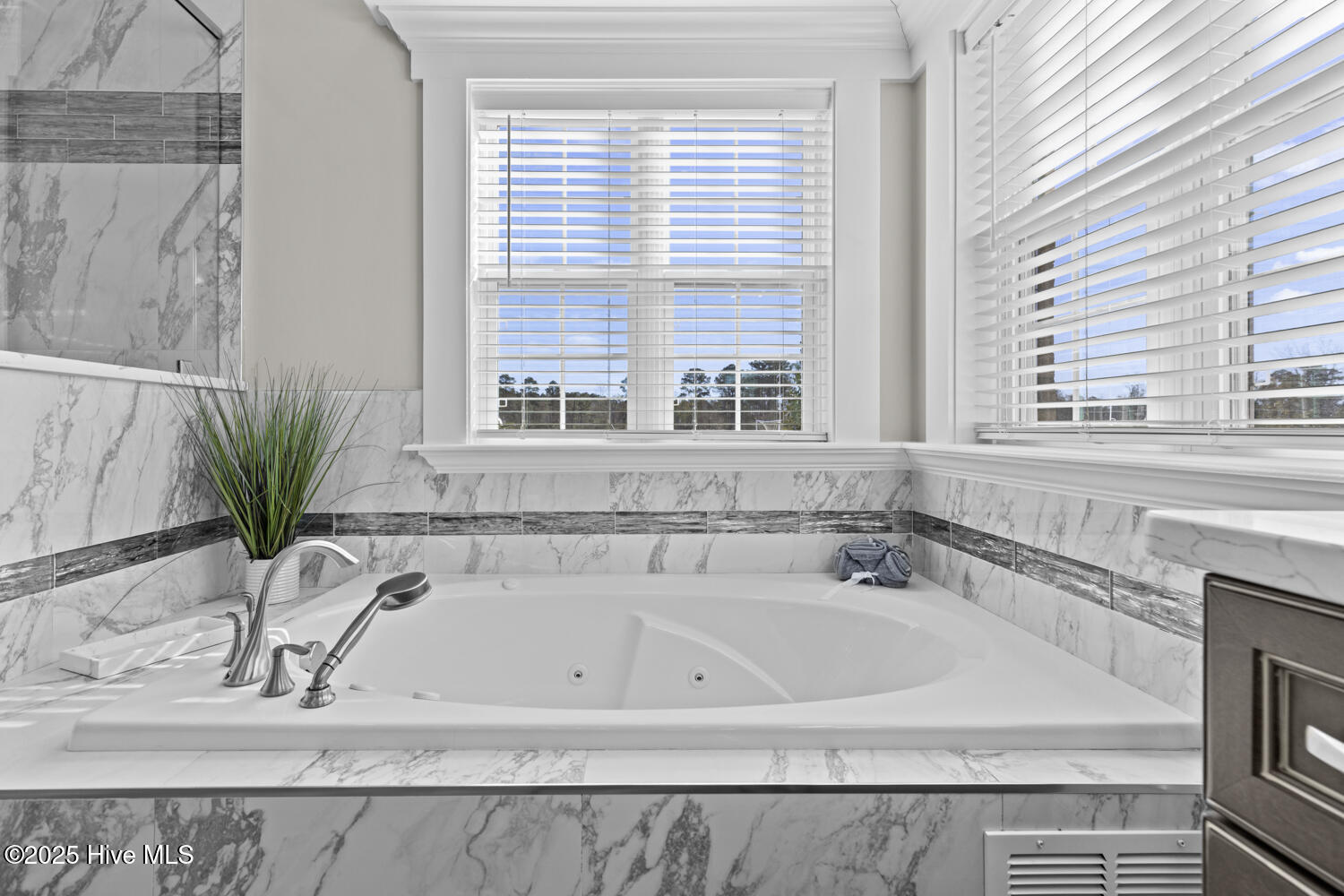 5976 Gum Branch Road Jacksonville, NC 28546 - Photo 37 of 96 Custom bathtub