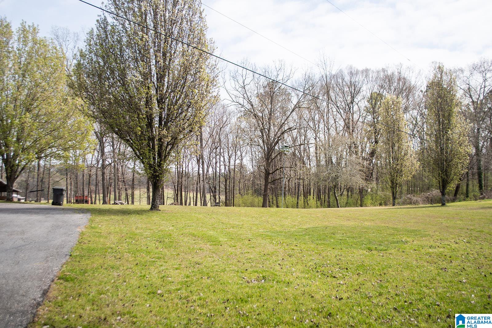 394 Center Star Road Pell City, AL 35125 - Photo 33 of 37