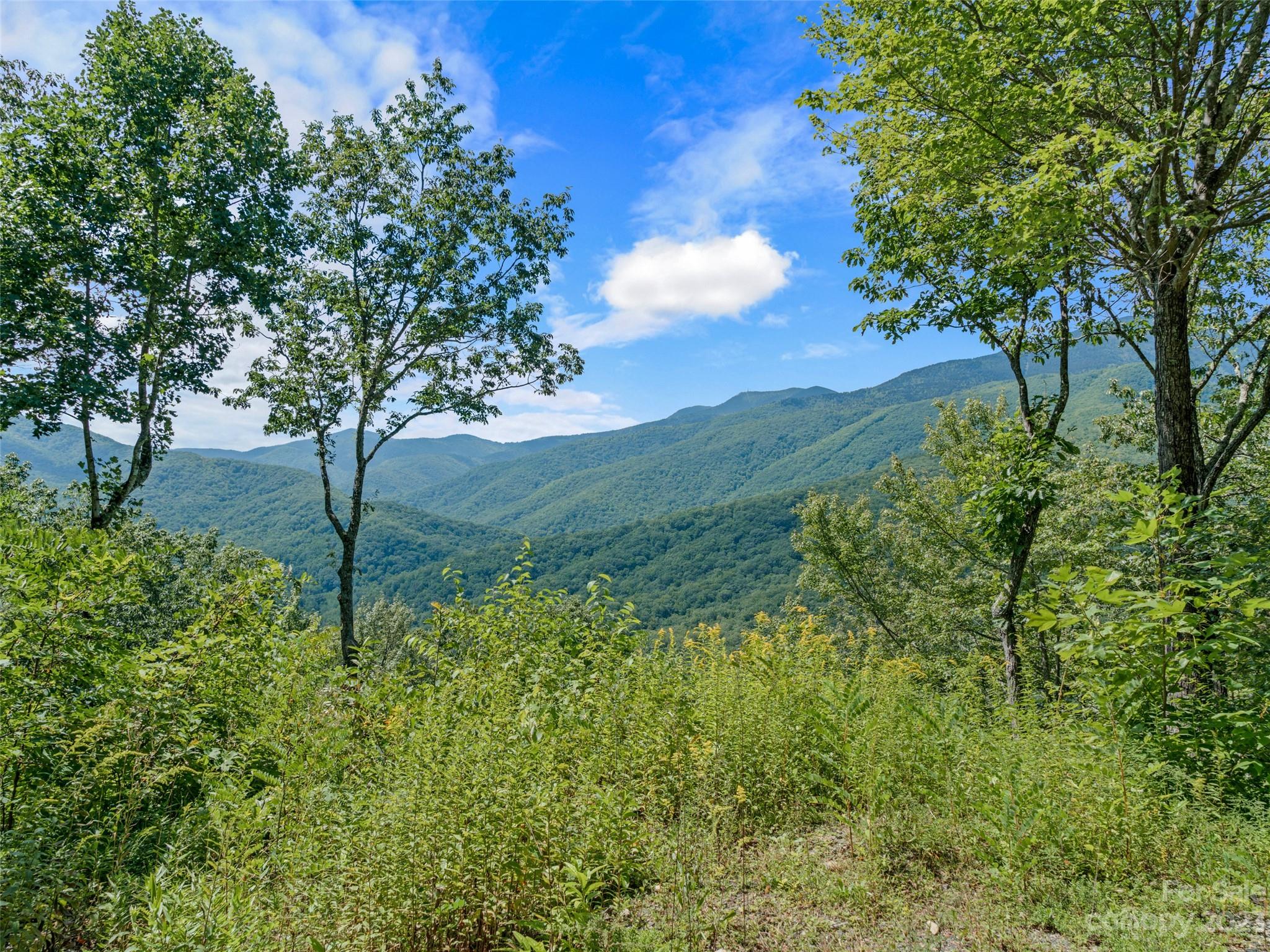 0 Big Ridge Road, Unit 35 & 37 Burnsville, NC 28714 - Photo 1 of 20 Gallery Image 1