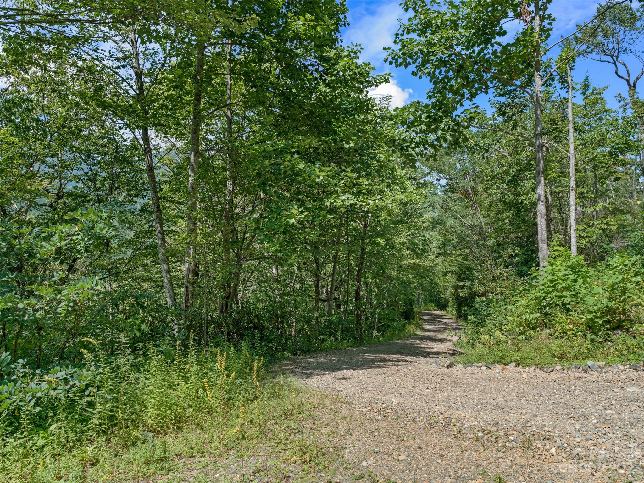 0 Big Ridge Road, Unit 35 & 37 Burnsville, NC 28714 - Photo 2 of 20 Gallery Image 2