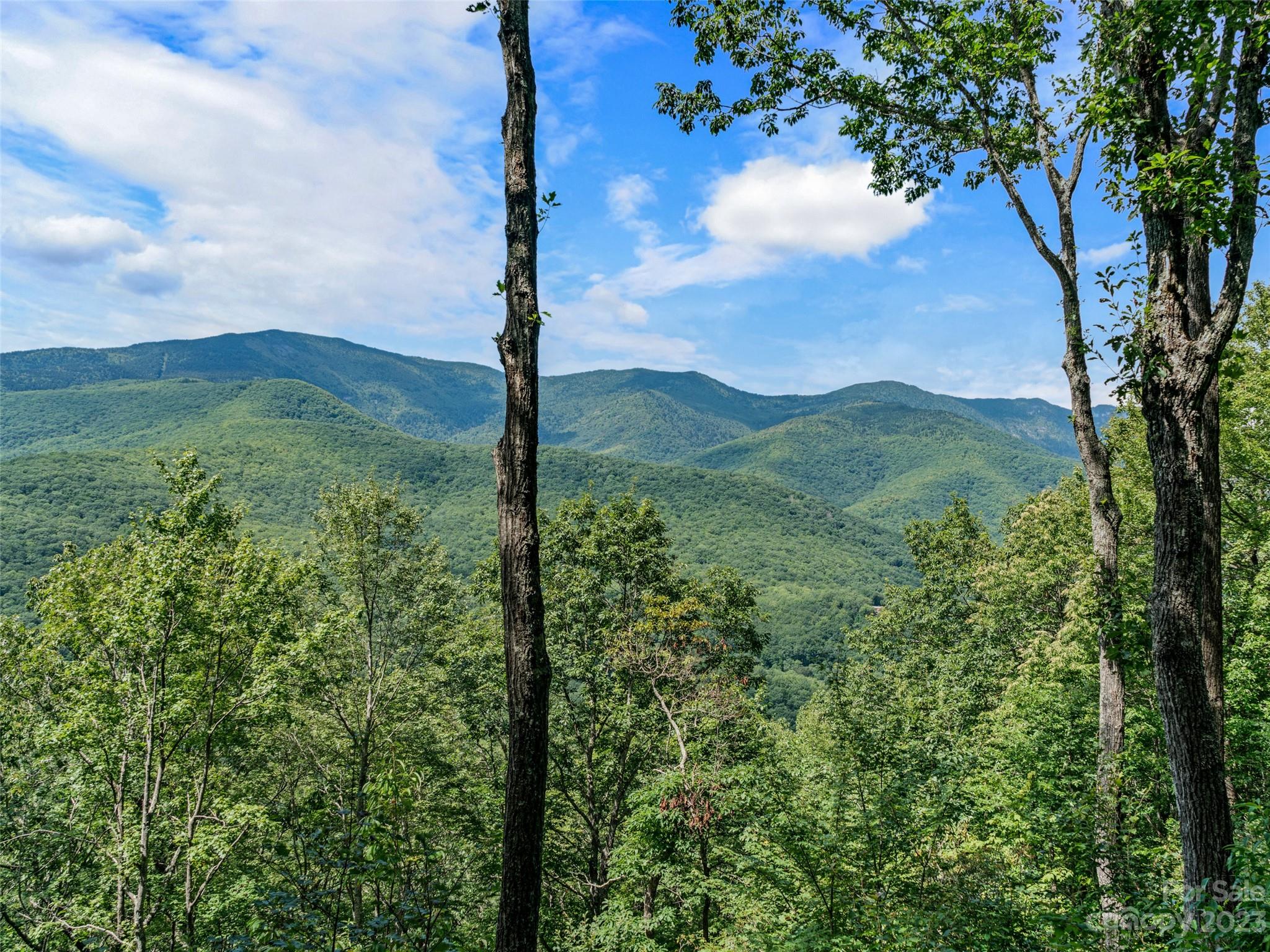 0 Big Ridge Road, Unit 35 & 37 Burnsville, NC 28714 - Photo 6 of 20 Gallery Image 6