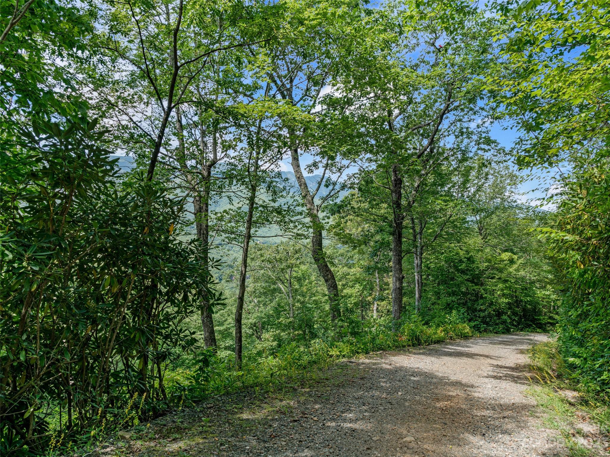 0 Big Ridge Road, Unit 35 & 37 Burnsville, NC 28714 - Photo 7 of 20 Gallery Image 7