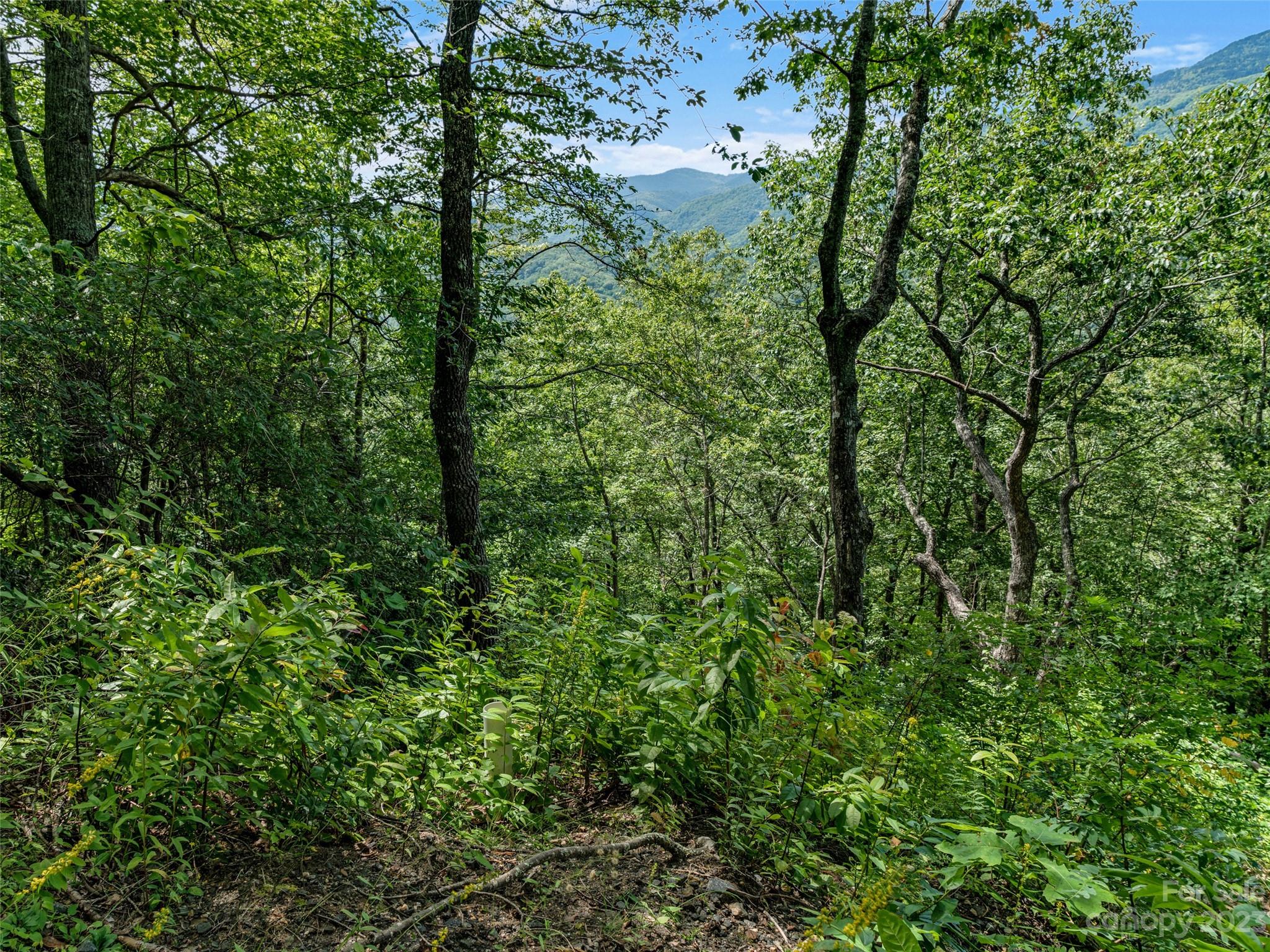 0 Big Ridge Road, Unit 35 & 37 Burnsville, NC 28714 - Photo 8 of 20 Gallery Image 8