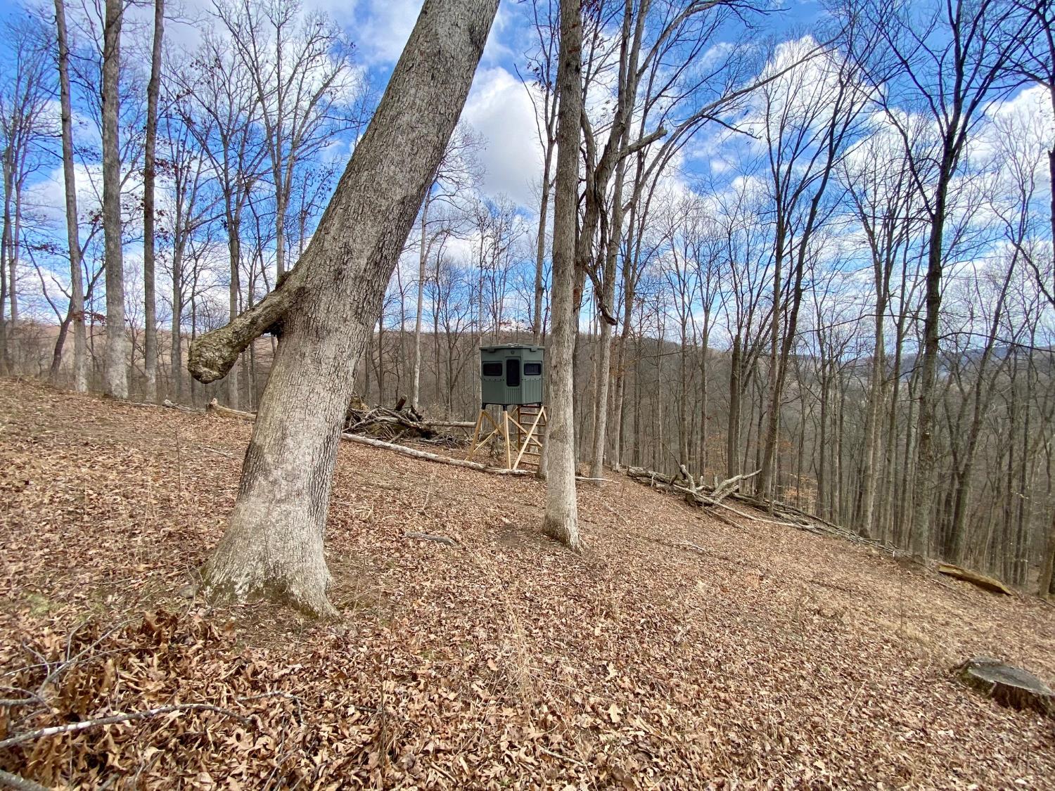 Ac Beech Fork Road Peebles, OH 45660 - Photo 19 of 49