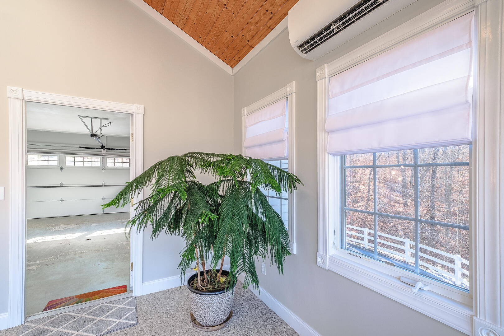 2085 Lakewood Forest Road Moneta, VA 24121 - Photo 18 of 76 a potted plant sitting in front of a window