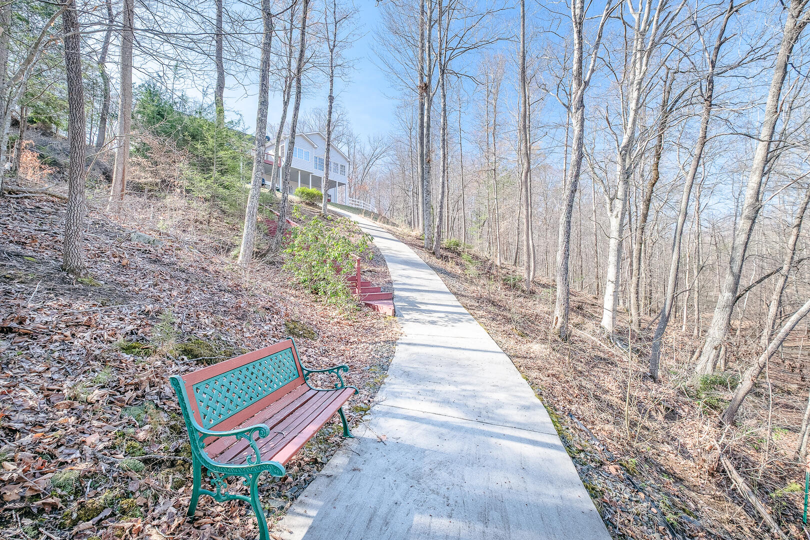 2085 Lakewood Forest Road Moneta, VA 24121 - Photo 70 of 76 a view of a backyard with chairs