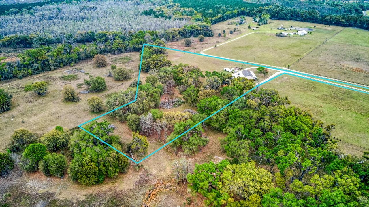 332 Northeast Forsythia Way Pinetta, FL 32350 - Photo 48 of 51