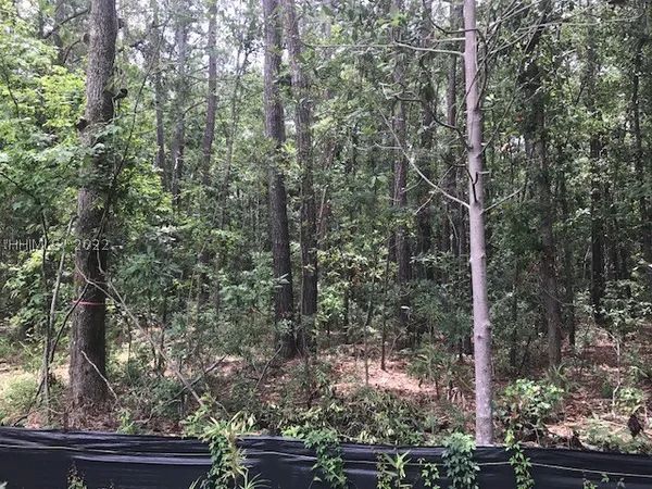 $2,500,000 | Tbd Lost Oaks Drive, Bluffton, SC 29910