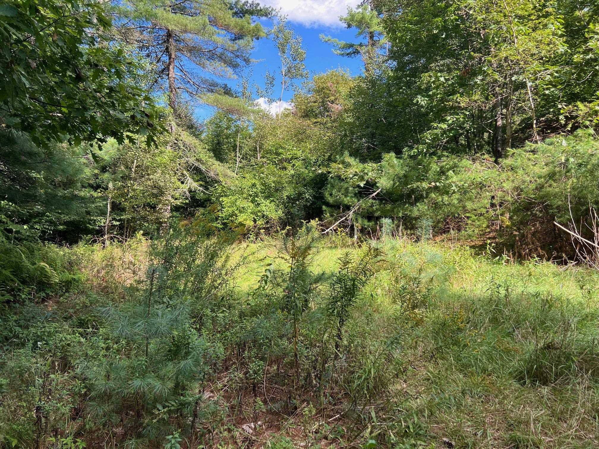 300 Catamount Road Pittsfield, NH 03263 - Photo 8 of 21
