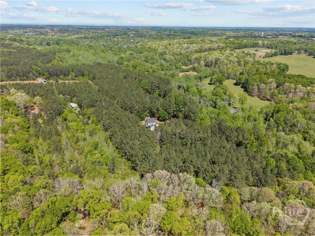599 Double Branch Road Danielsville, GA 30633 - Photo 69 of 70