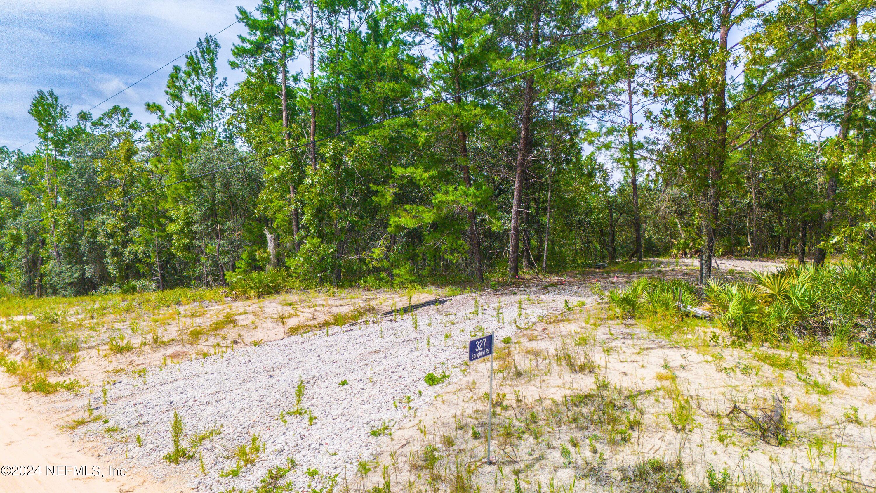 327 Songbird Road Palatka, FL 32177 - Photo 3 of 13 Songbird-3