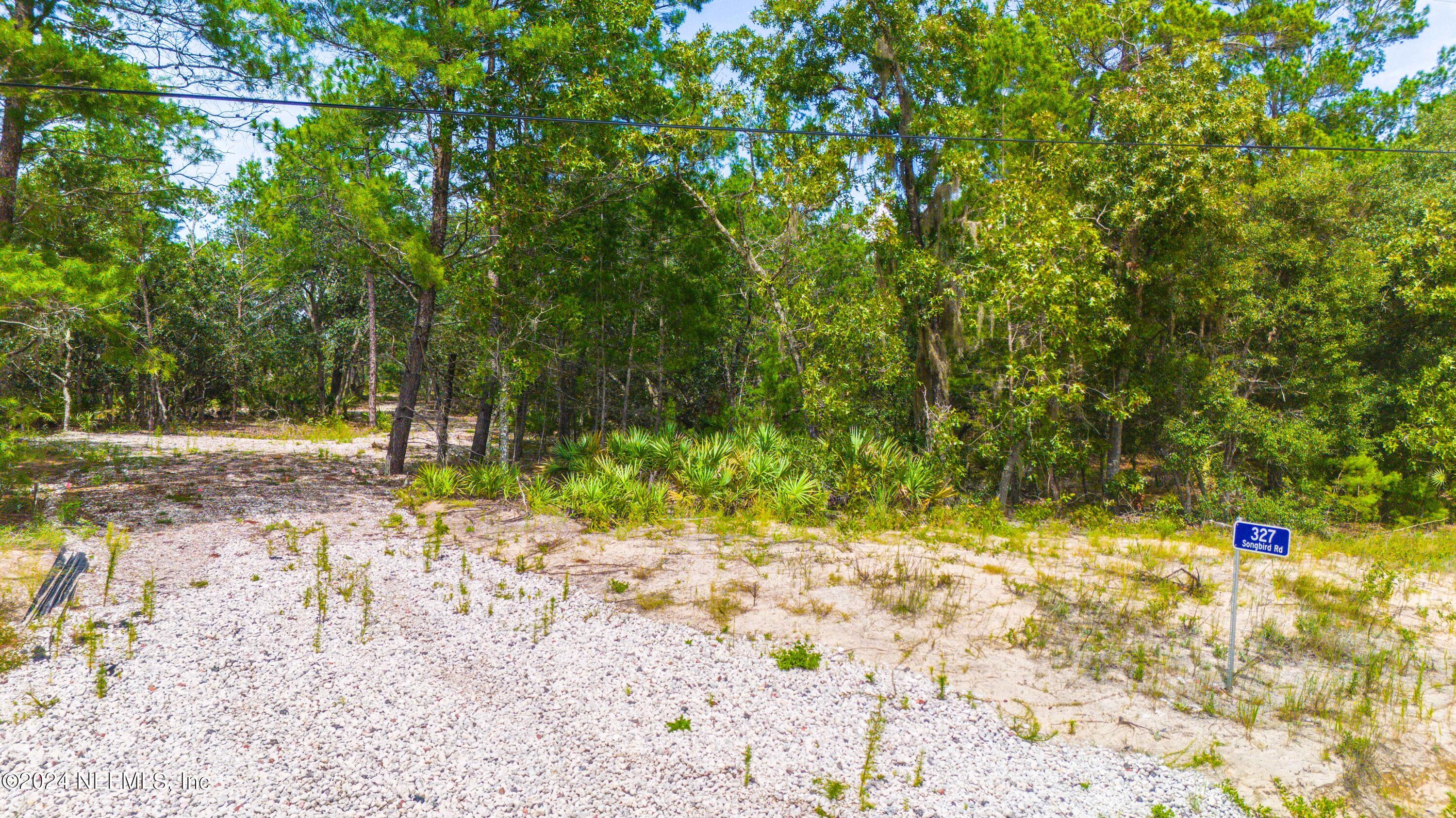 327 Songbird Road Palatka, FL 32177 - Photo 4 of 13 Songbird-4