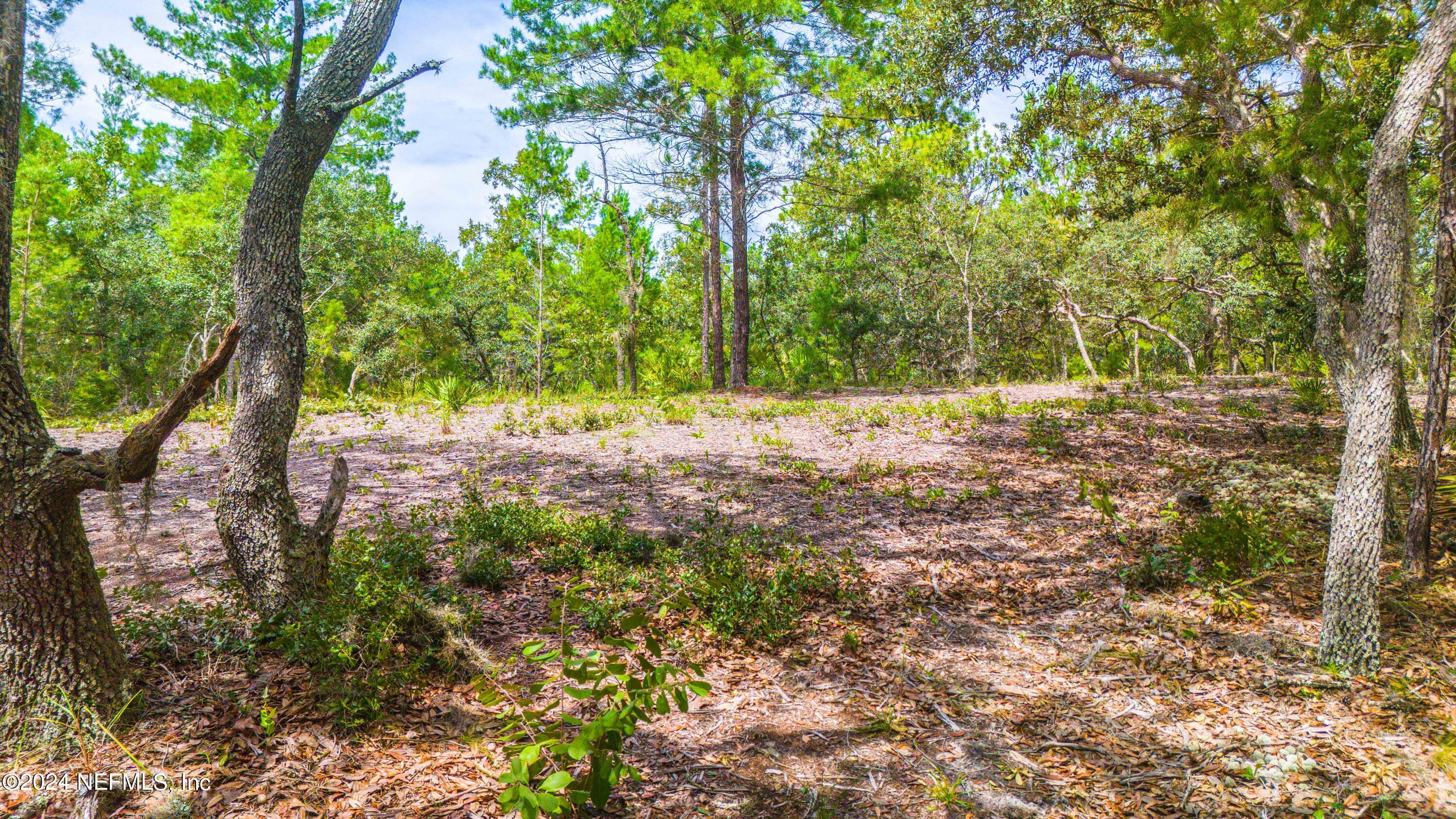 327 Songbird Road Palatka, FL 32177 - Photo 8 of 13 Songbird-9