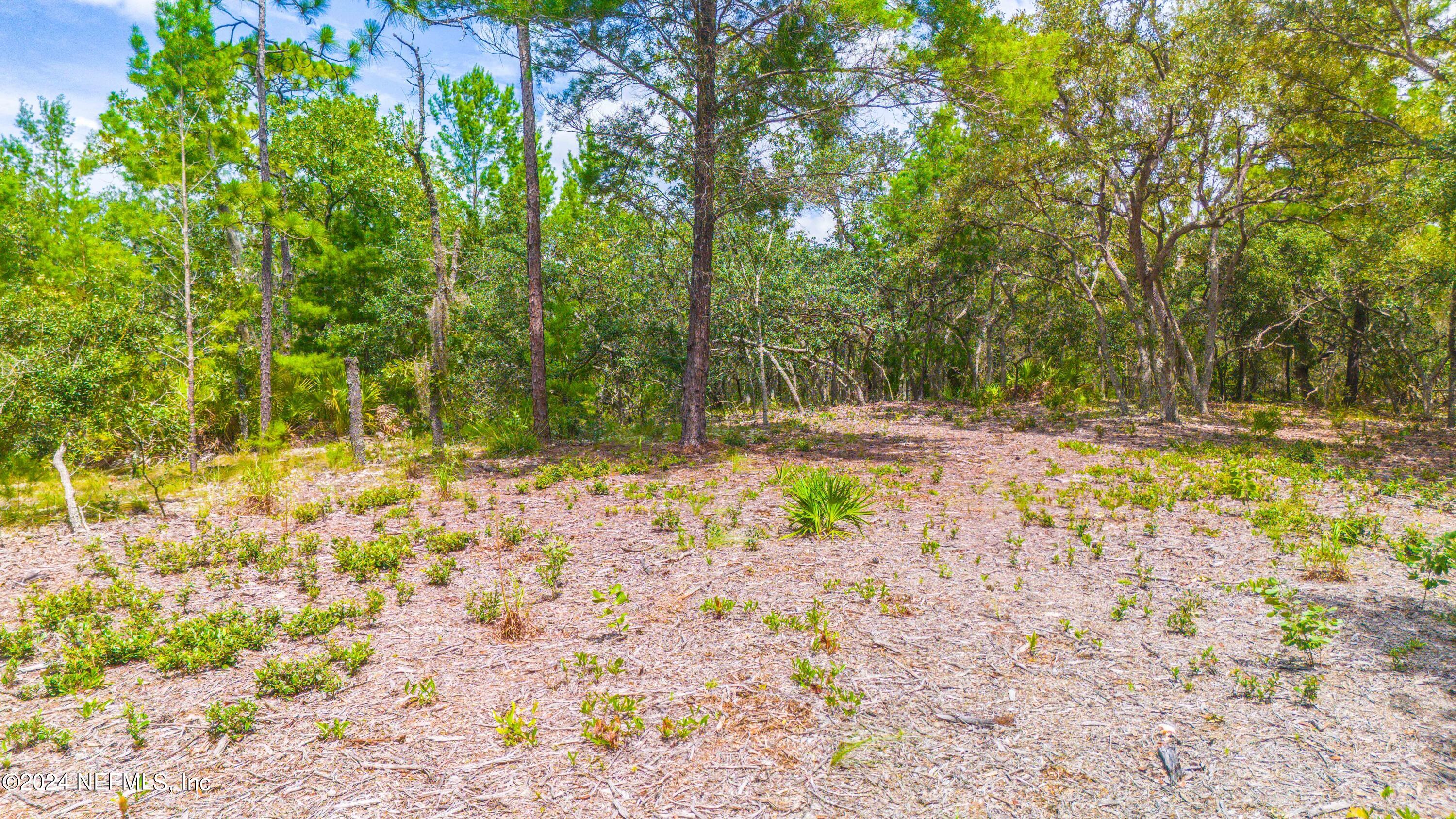 327 Songbird Road Palatka, FL 32177 - Photo 9 of 13 Songbird-10