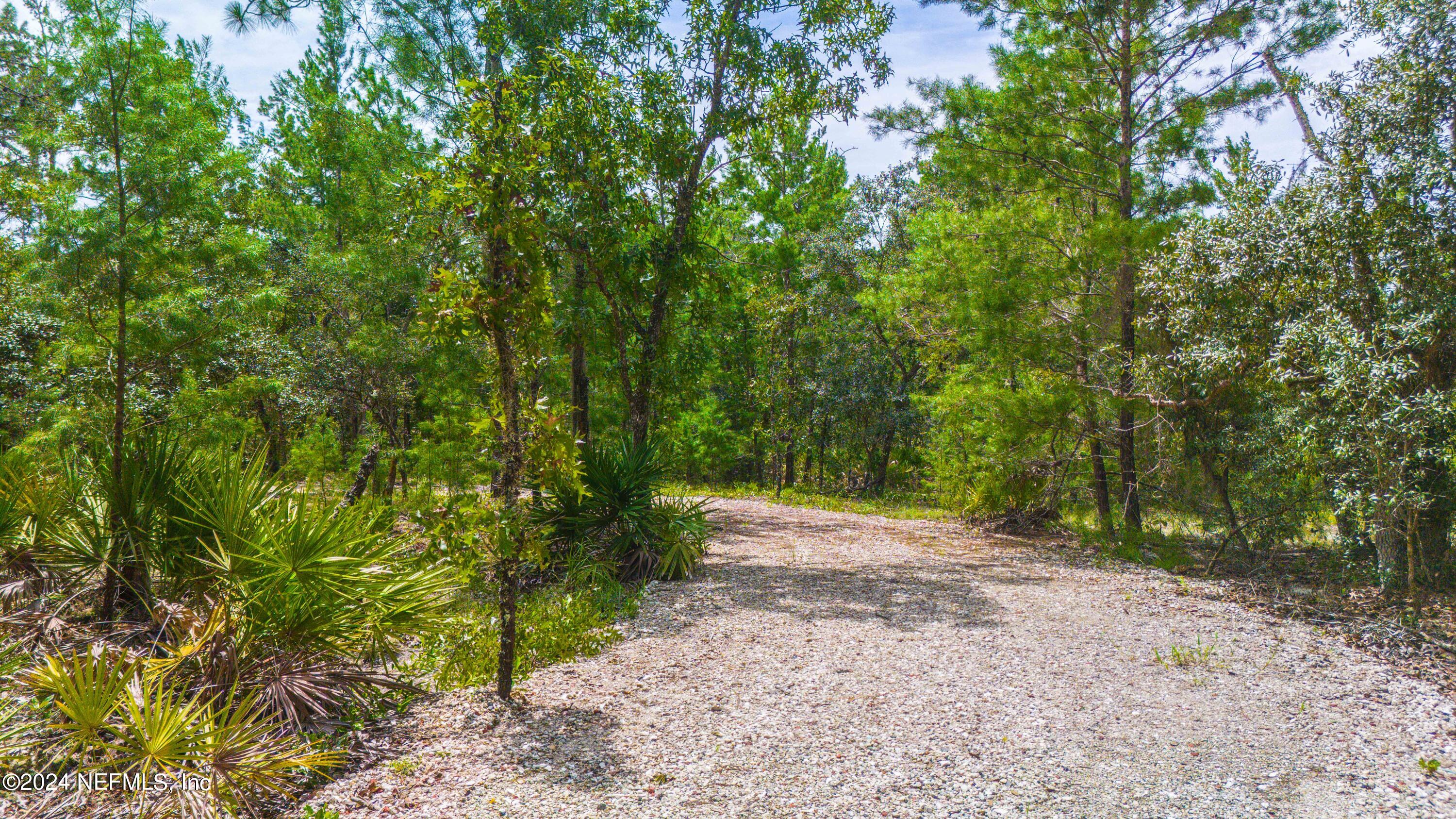 327 Songbird Road Palatka, FL 32177 - Photo 10 of 13 Songbird-11