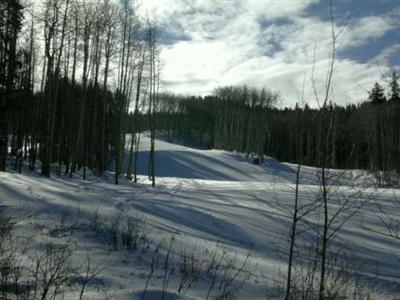 1752 Daybreak Ridge Road Beaver Creek, CO 81620 - Photo 1 of 8 a backyard of a house