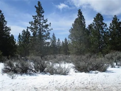 $90,000 | 6-xx 6-xx Chipmunk Trail, East Wenatchee, WA 98802