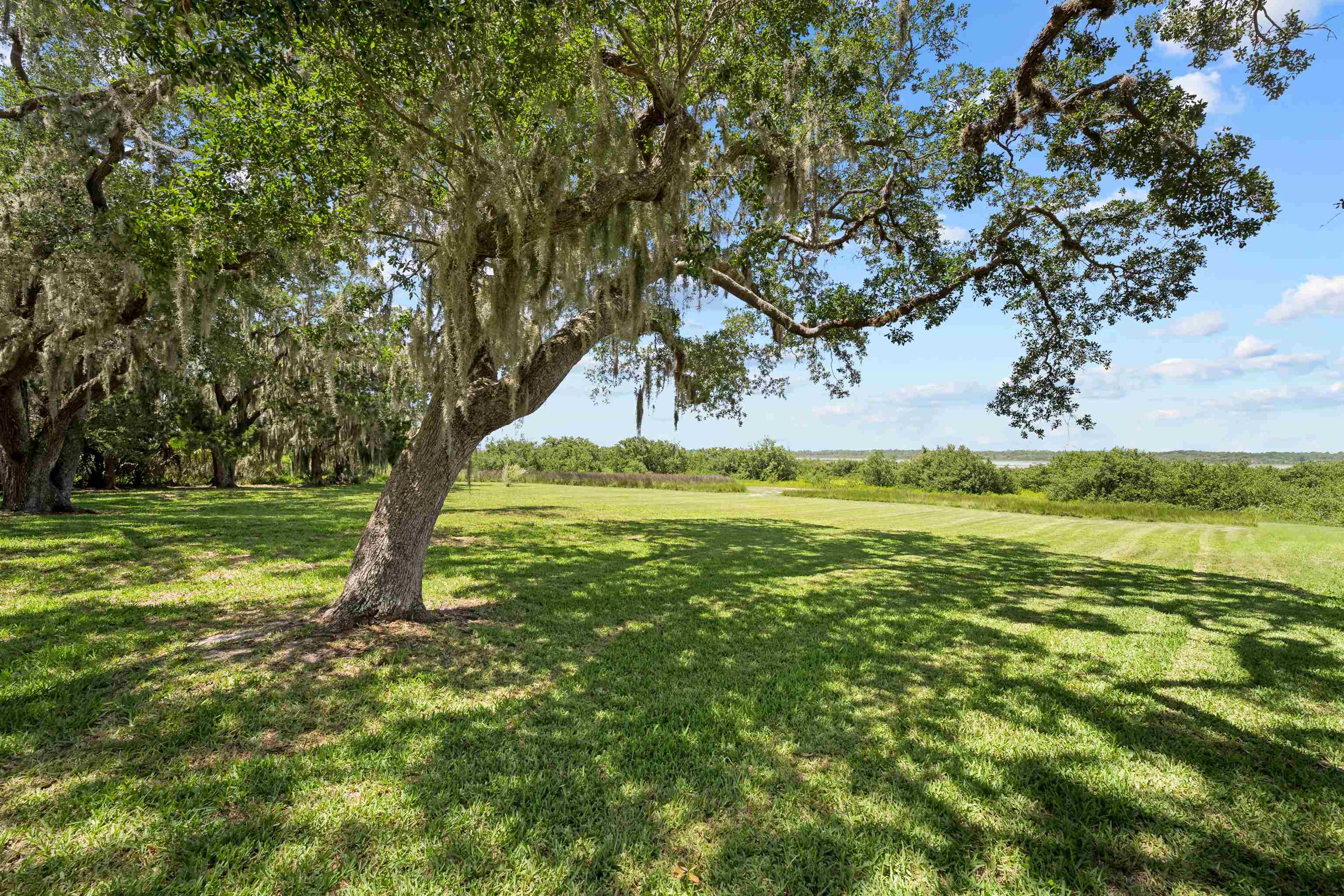 5425 Windantide Road St. Augustine, FL 32080 - Photo 24 of 33 a view of a trees with a yard