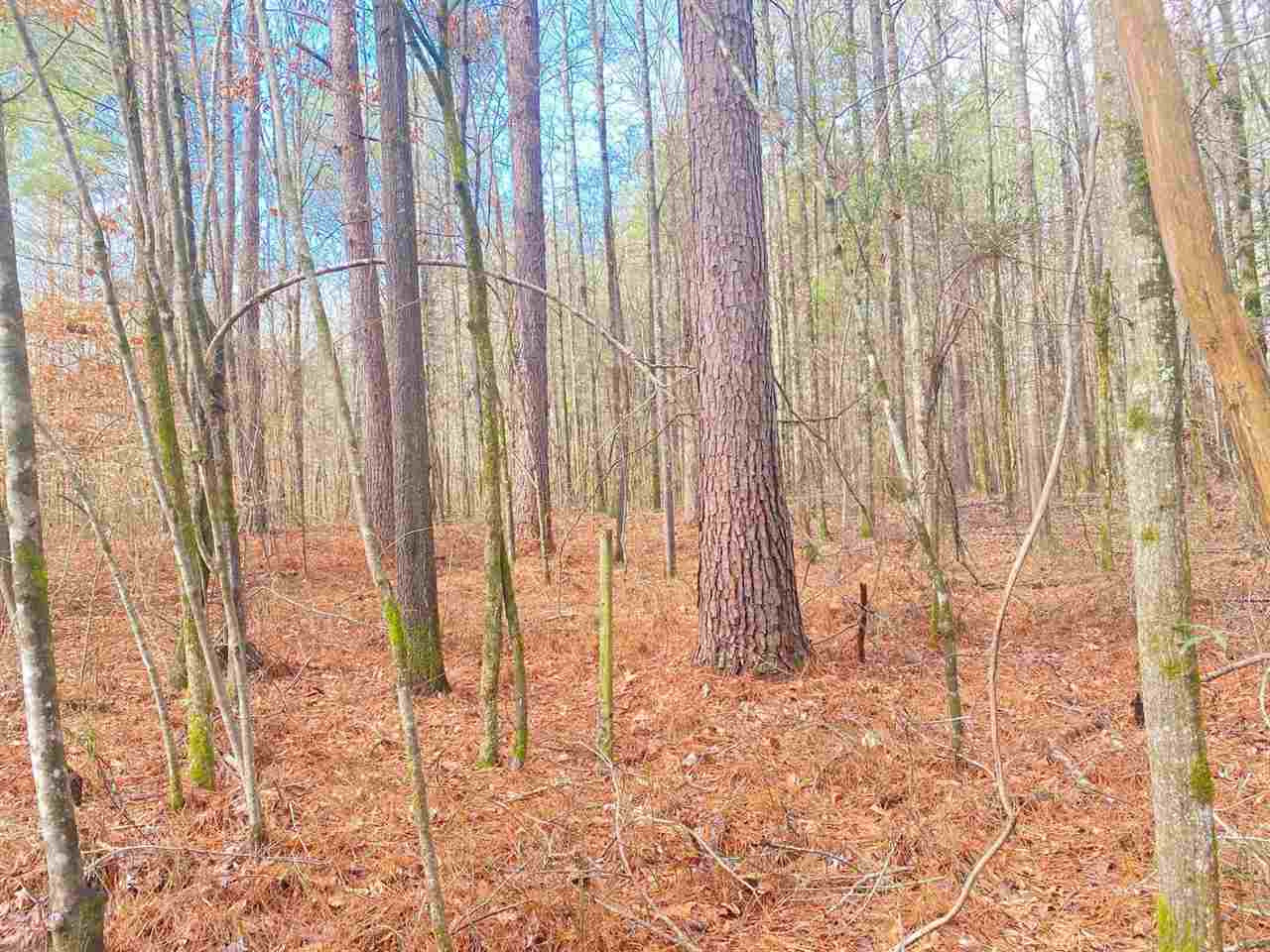 0 McCarty Road Camden, MS 39045 - Photo 1 of 45 Photo 1
