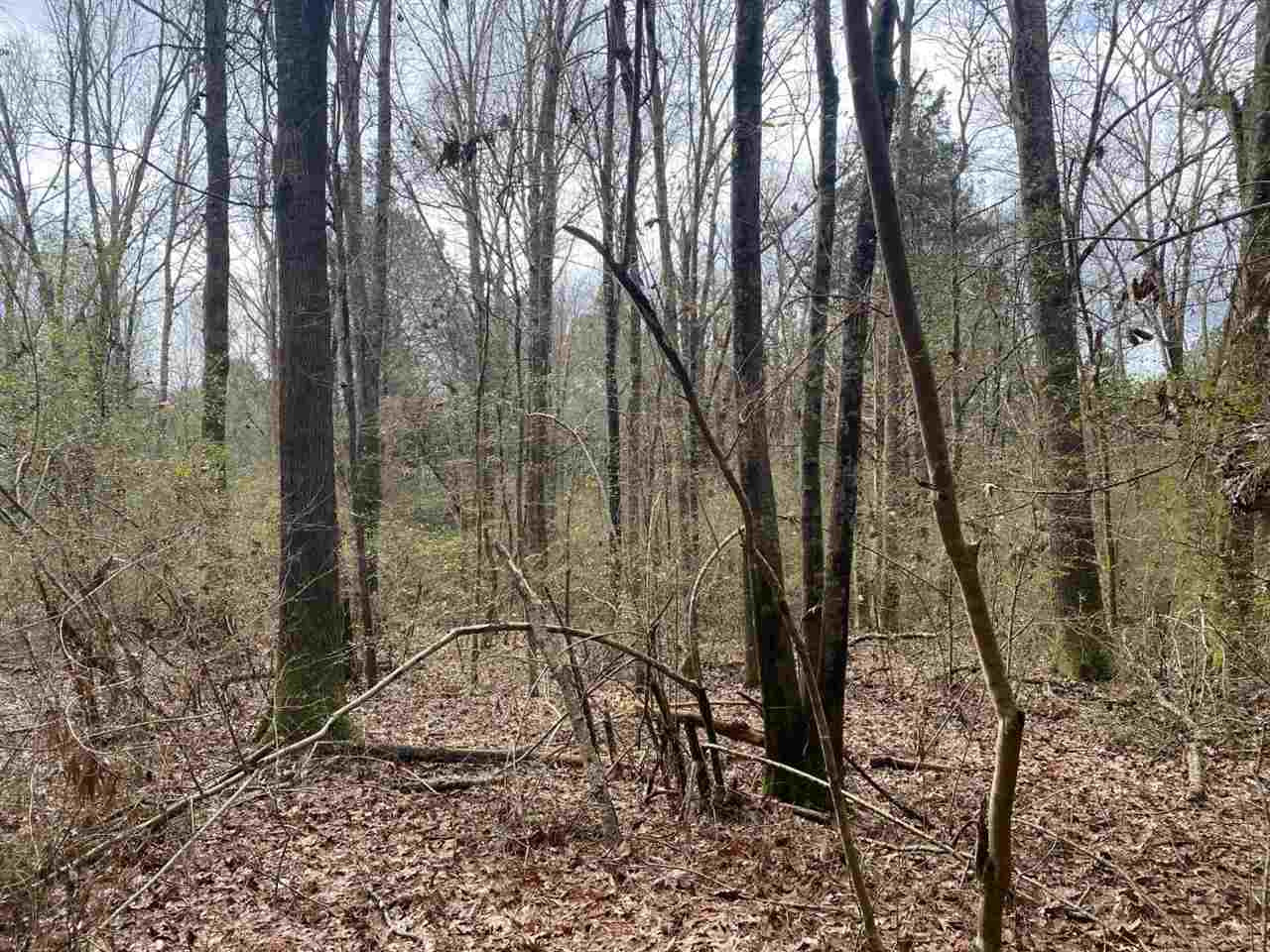 0 McCarty Road Camden, MS 39045 - Photo 11 of 45 Photo 12