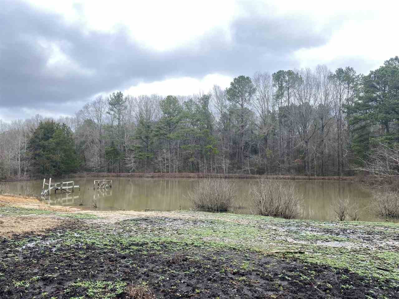0 McCarty Road Camden, MS 39045 - Photo 24 of 45 Photo 26