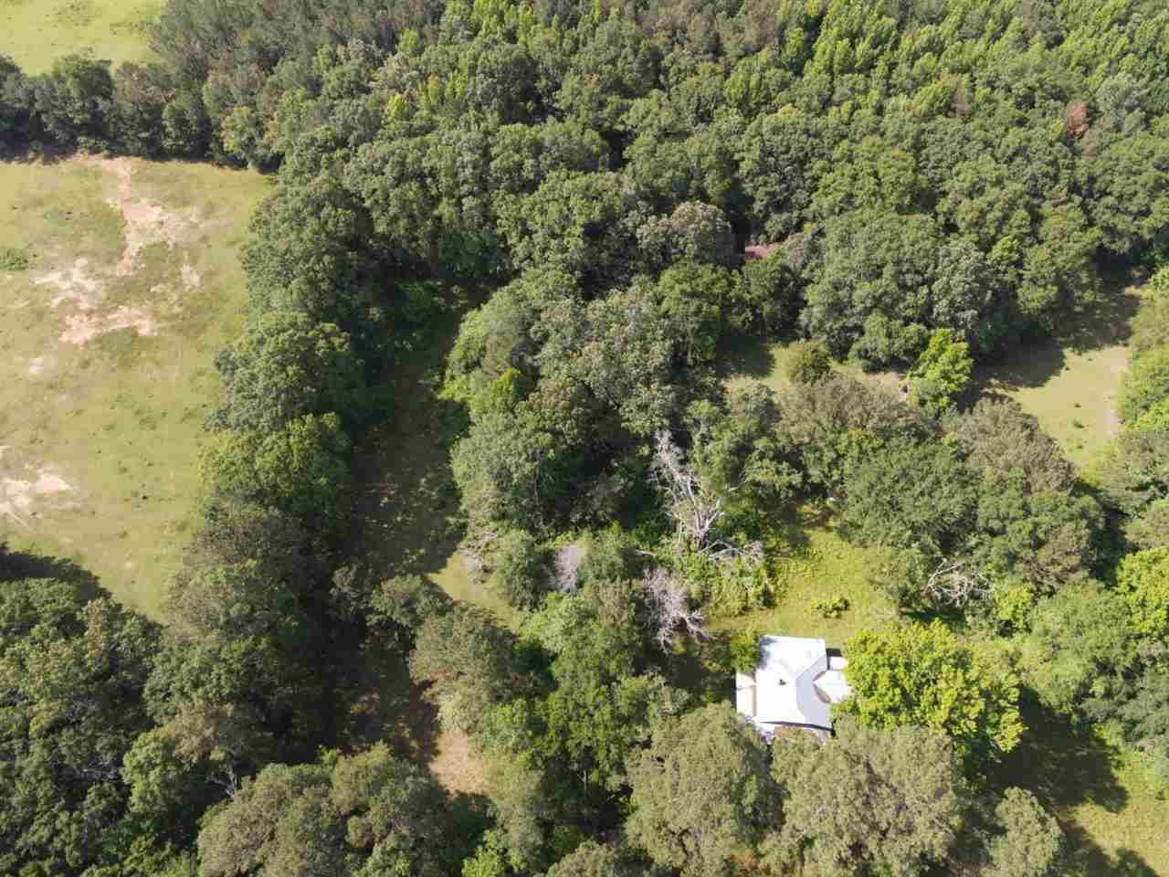 0 McCarty Road Camden, MS 39045 - Photo 34 of 45 Photo 36