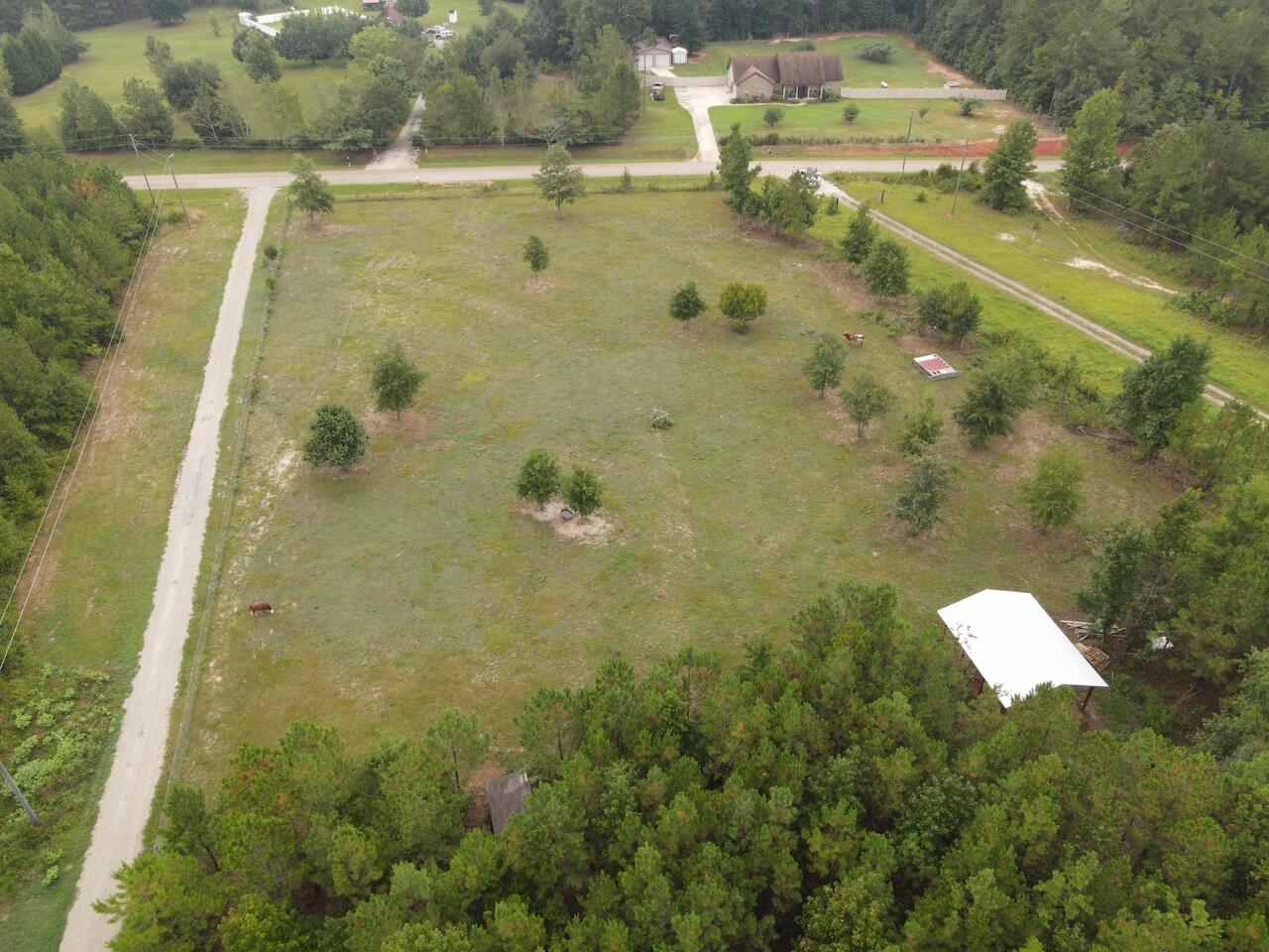 544 Blount Road Hephzibah, GA 30815 - Photo 45 of 67 DJI_0666