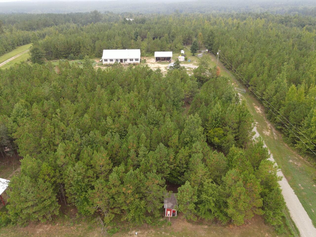 544 Blount Road Hephzibah, GA 30815 - Photo 56 of 67 DJI_0685