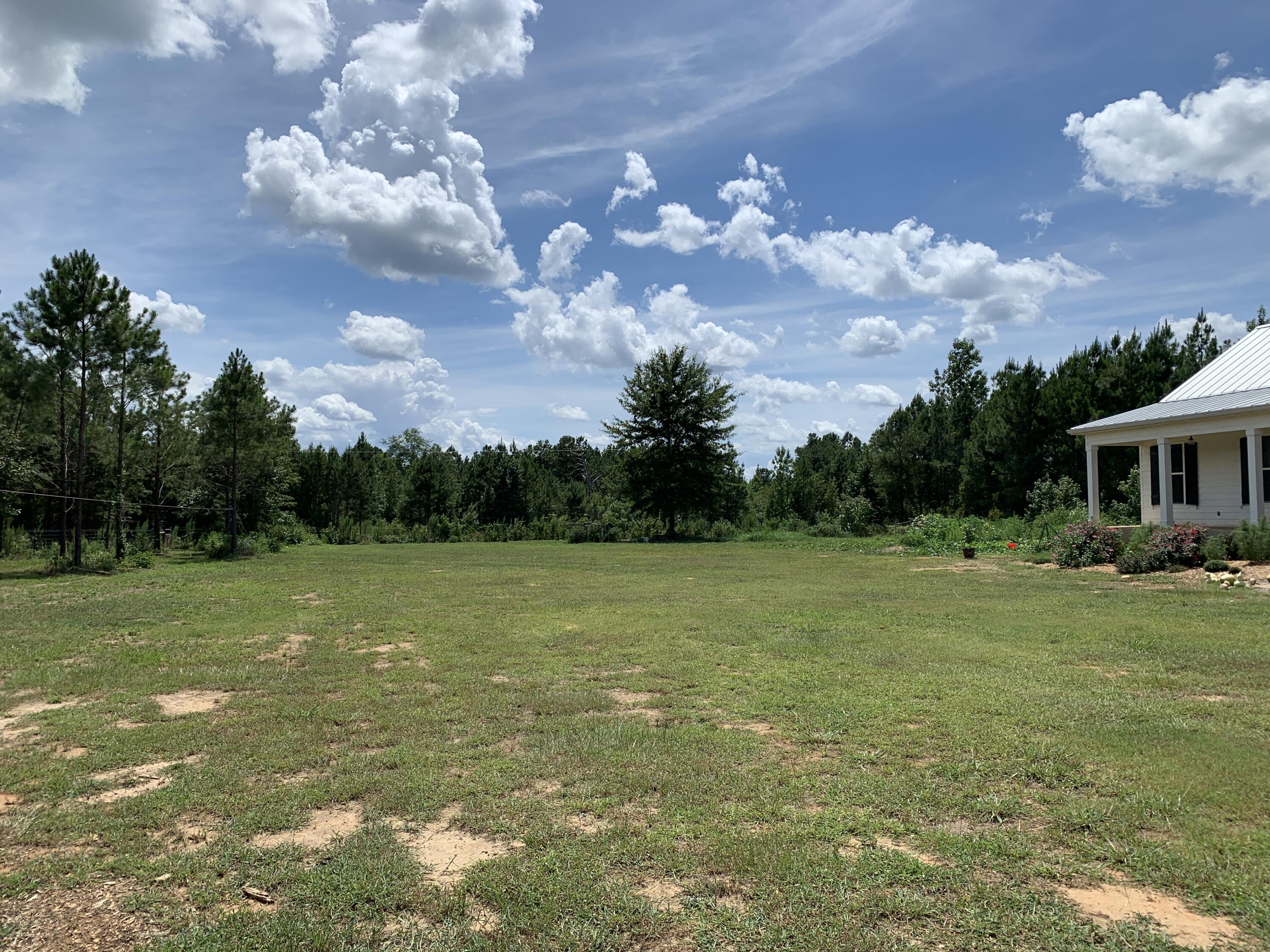 544 Blount Road Hephzibah, GA 30815 - Photo 57 of 67 2022-07-28_14-51-19_713