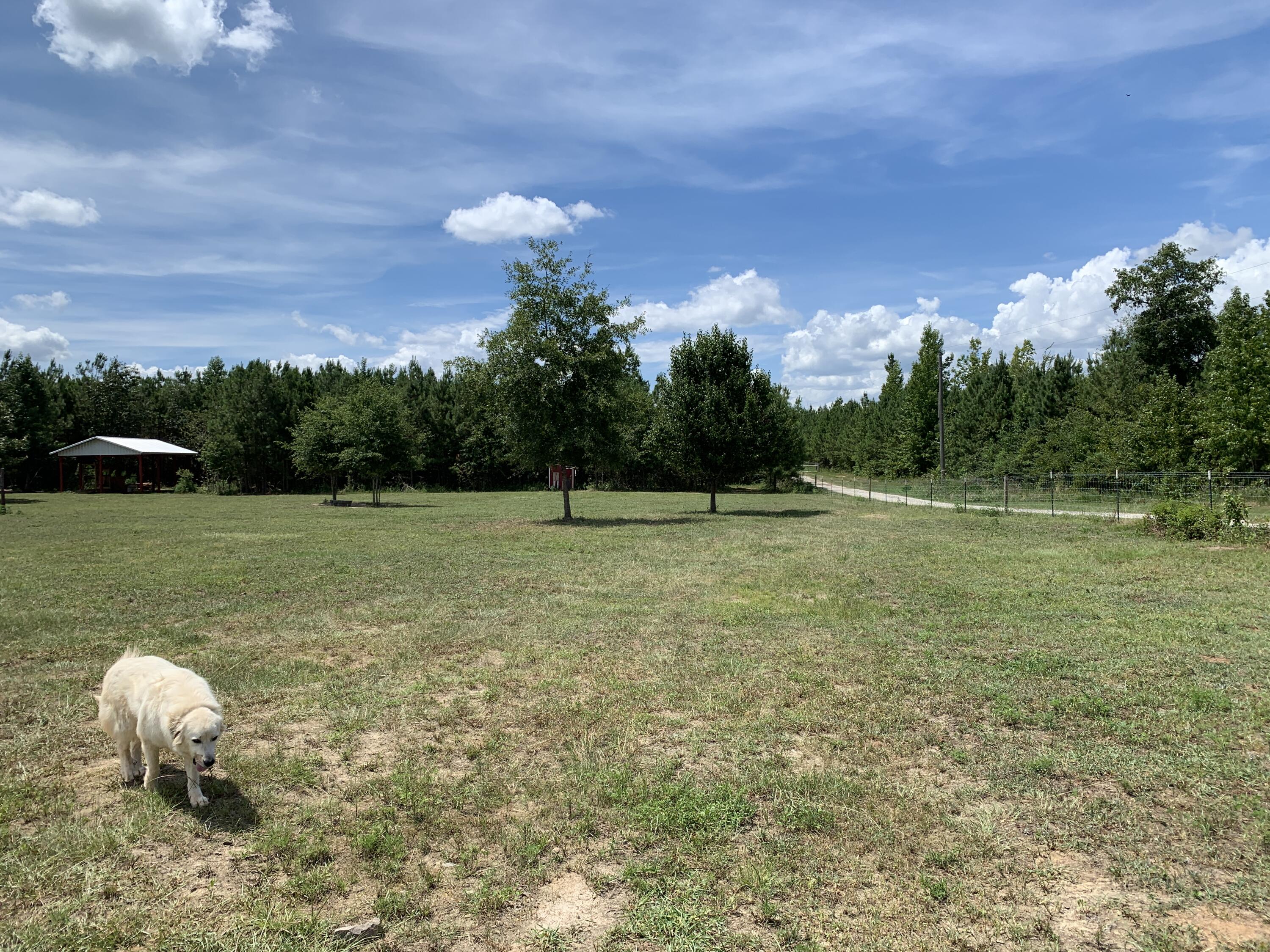 544 Blount Road Hephzibah, GA 30815 - Photo 59 of 67 2022-07-28_14-55-09_108