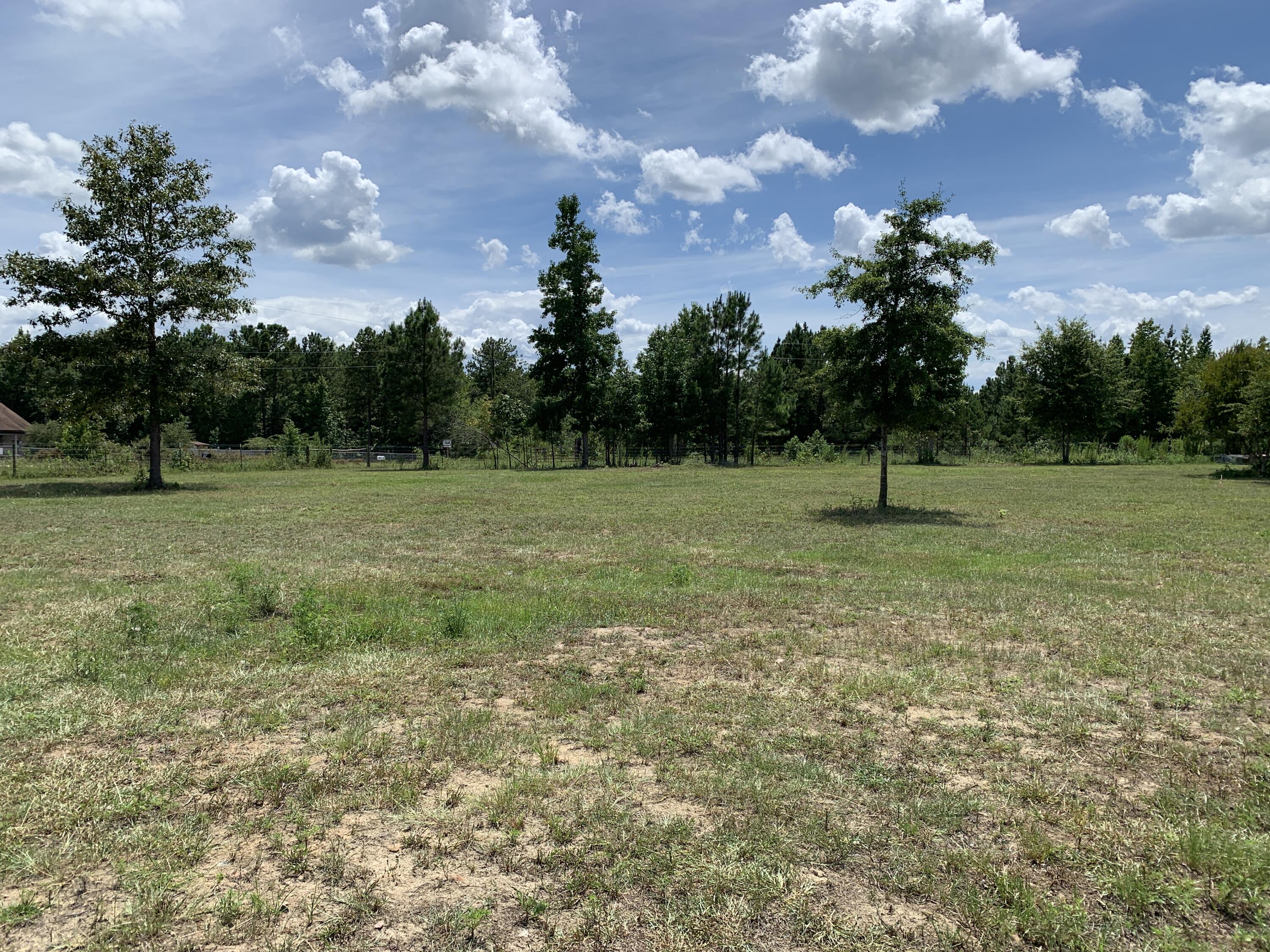 544 Blount Road Hephzibah, GA 30815 - Photo 60 of 67 2022-07-28_14-55-14_012