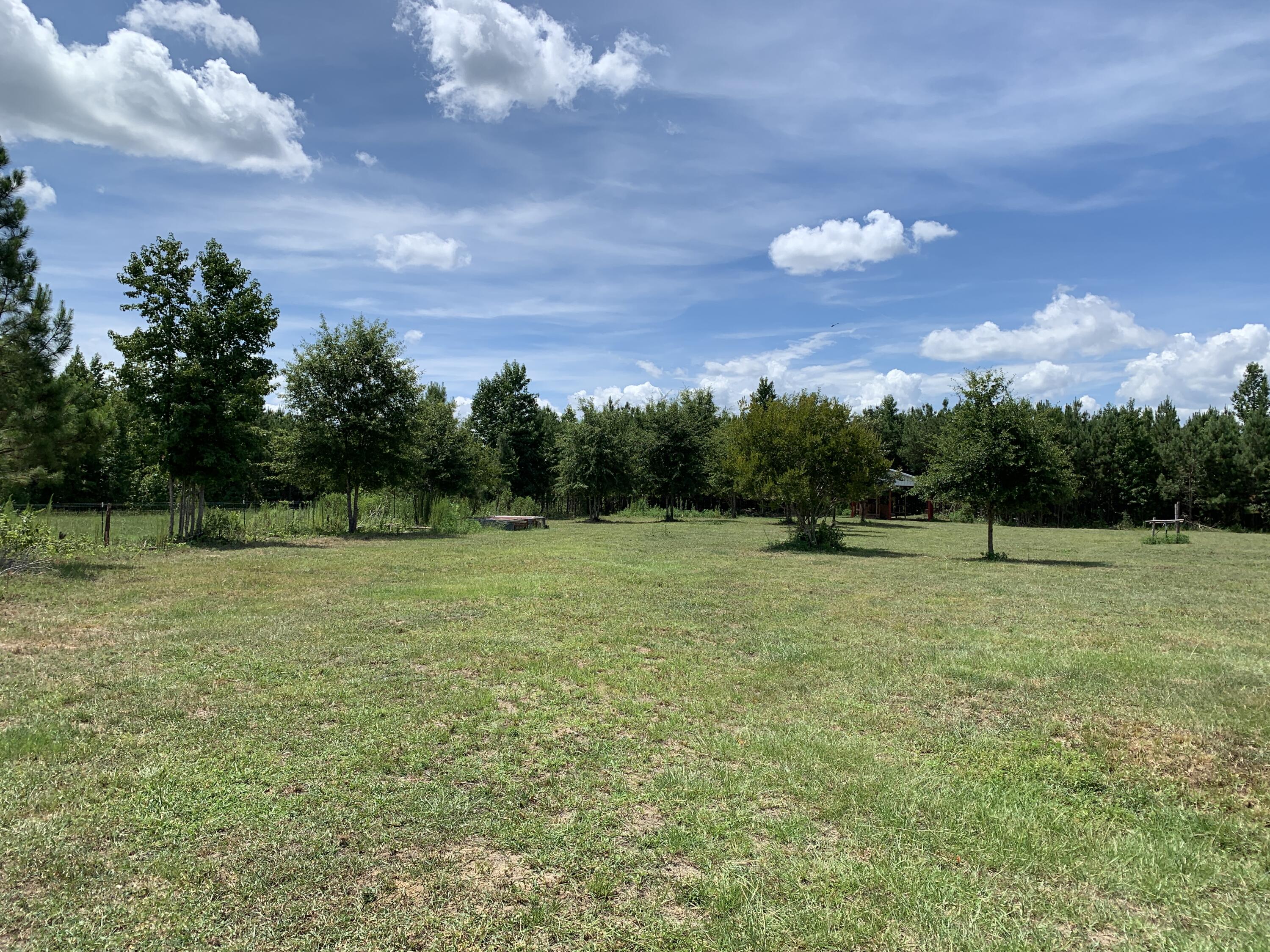 544 Blount Road Hephzibah, GA 30815 - Photo 61 of 67 2022-07-28_14-55-58_316