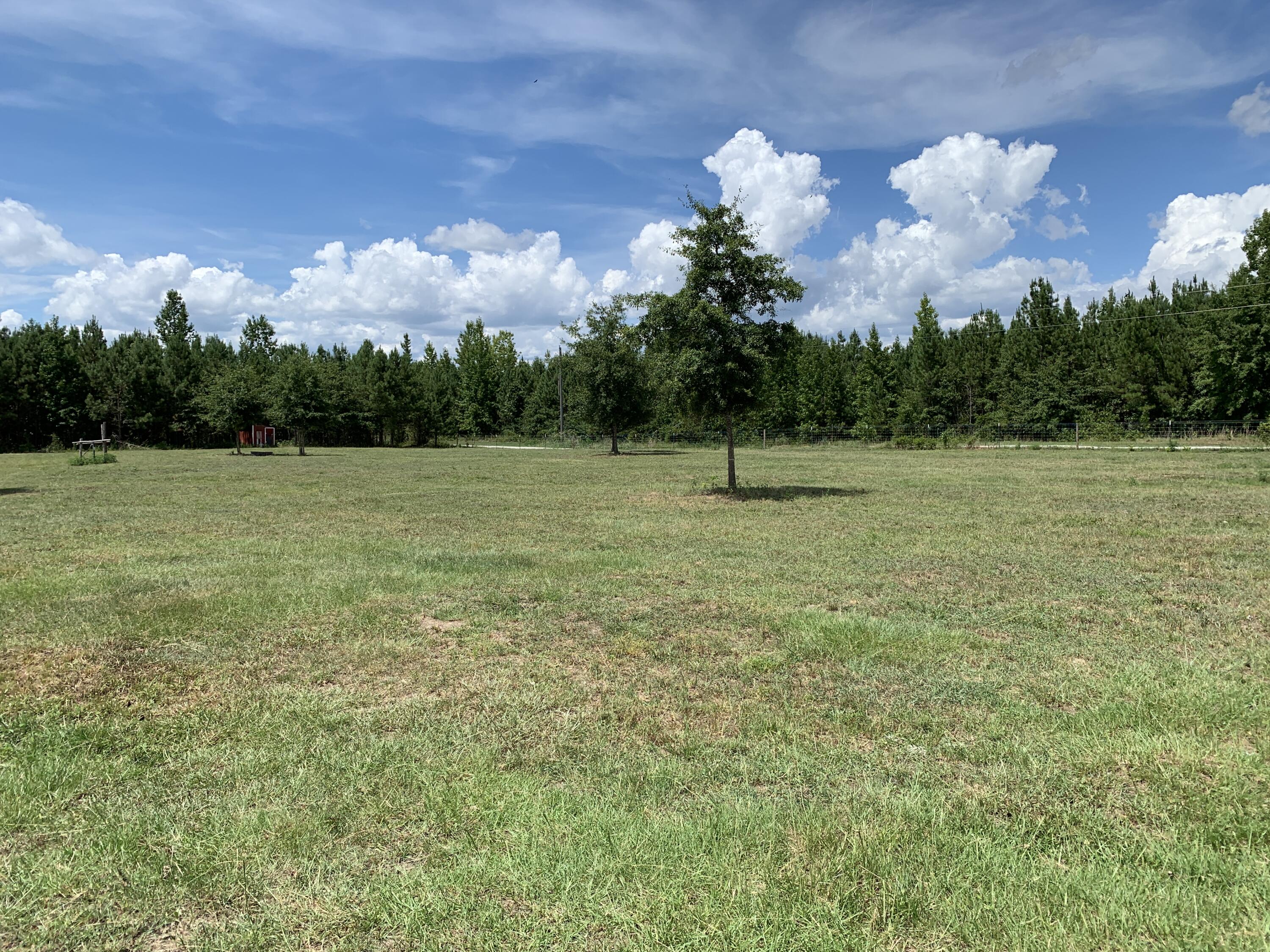 544 Blount Road Hephzibah, GA 30815 - Photo 62 of 67 2022-07-28_14-56-02_486