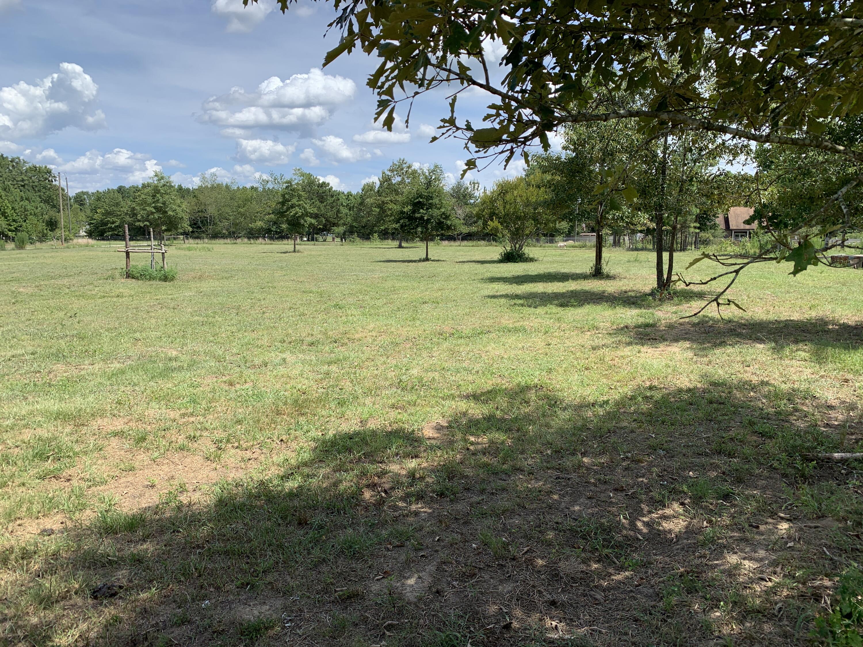 544 Blount Road Hephzibah, GA 30815 - Photo 63 of 67 2022-07-28_14-57-07_675