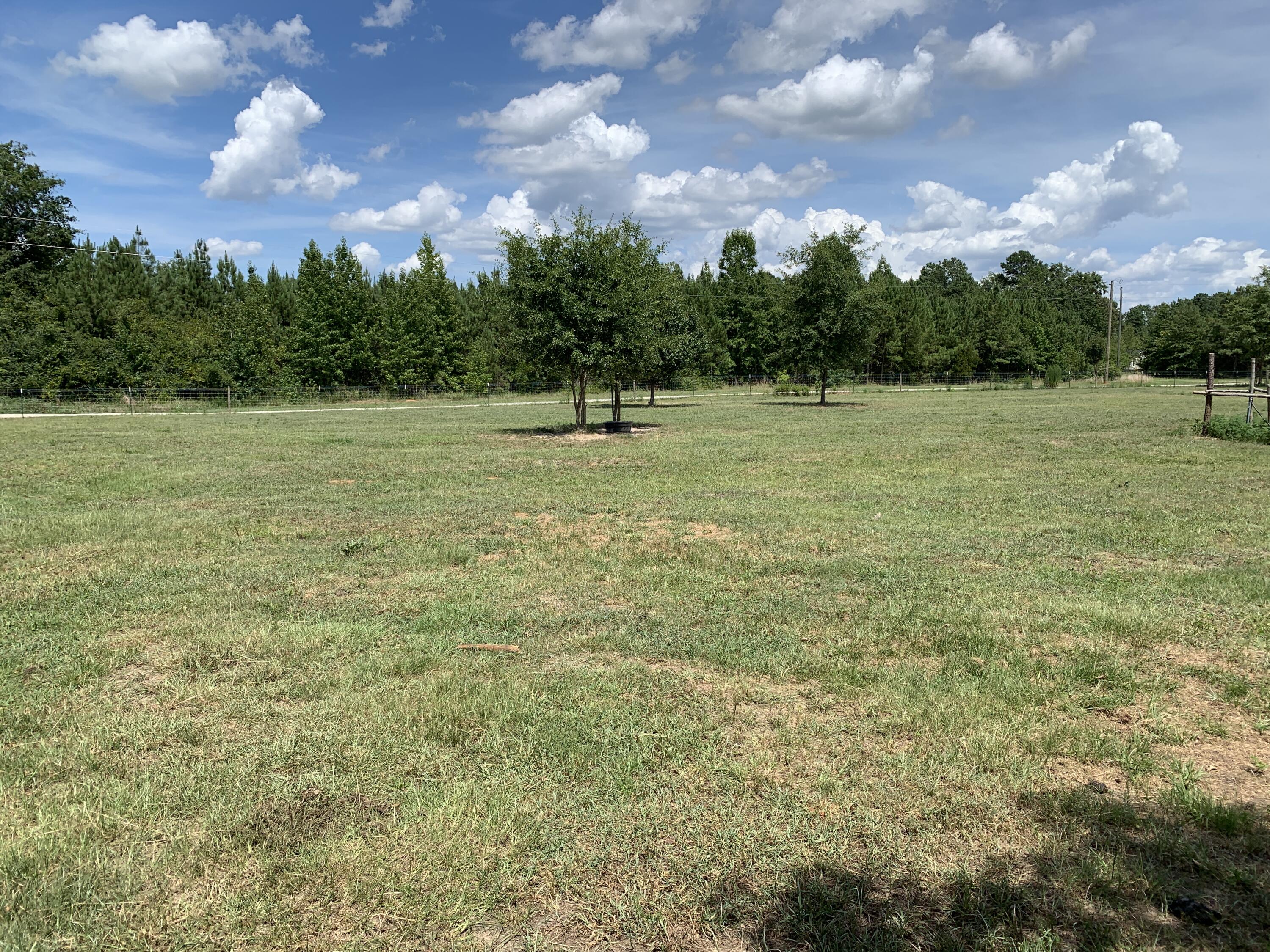 544 Blount Road Hephzibah, GA 30815 - Photo 64 of 67 2022-07-28_14-57-10_945