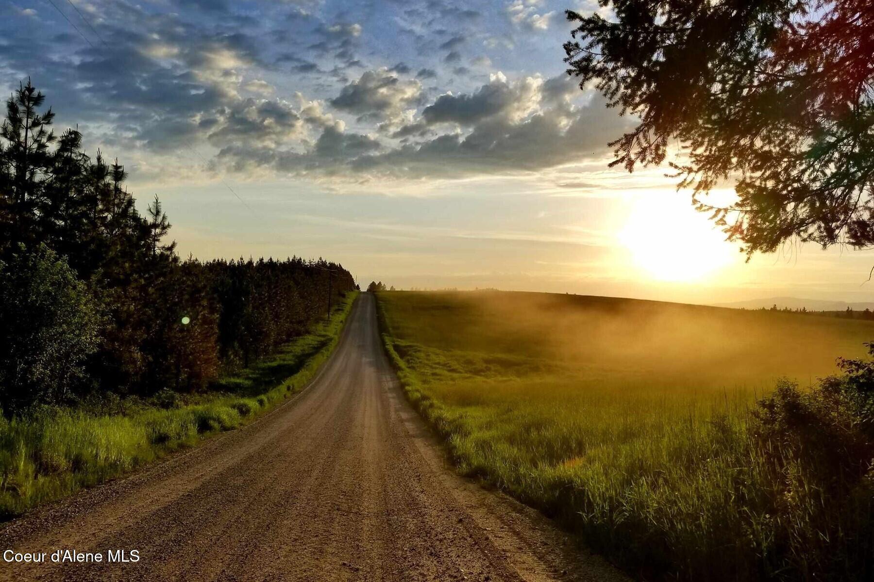 3467 East Sunset Drive Harrison, ID 83833 - Photo 32 of 54 Beautiful Country Living