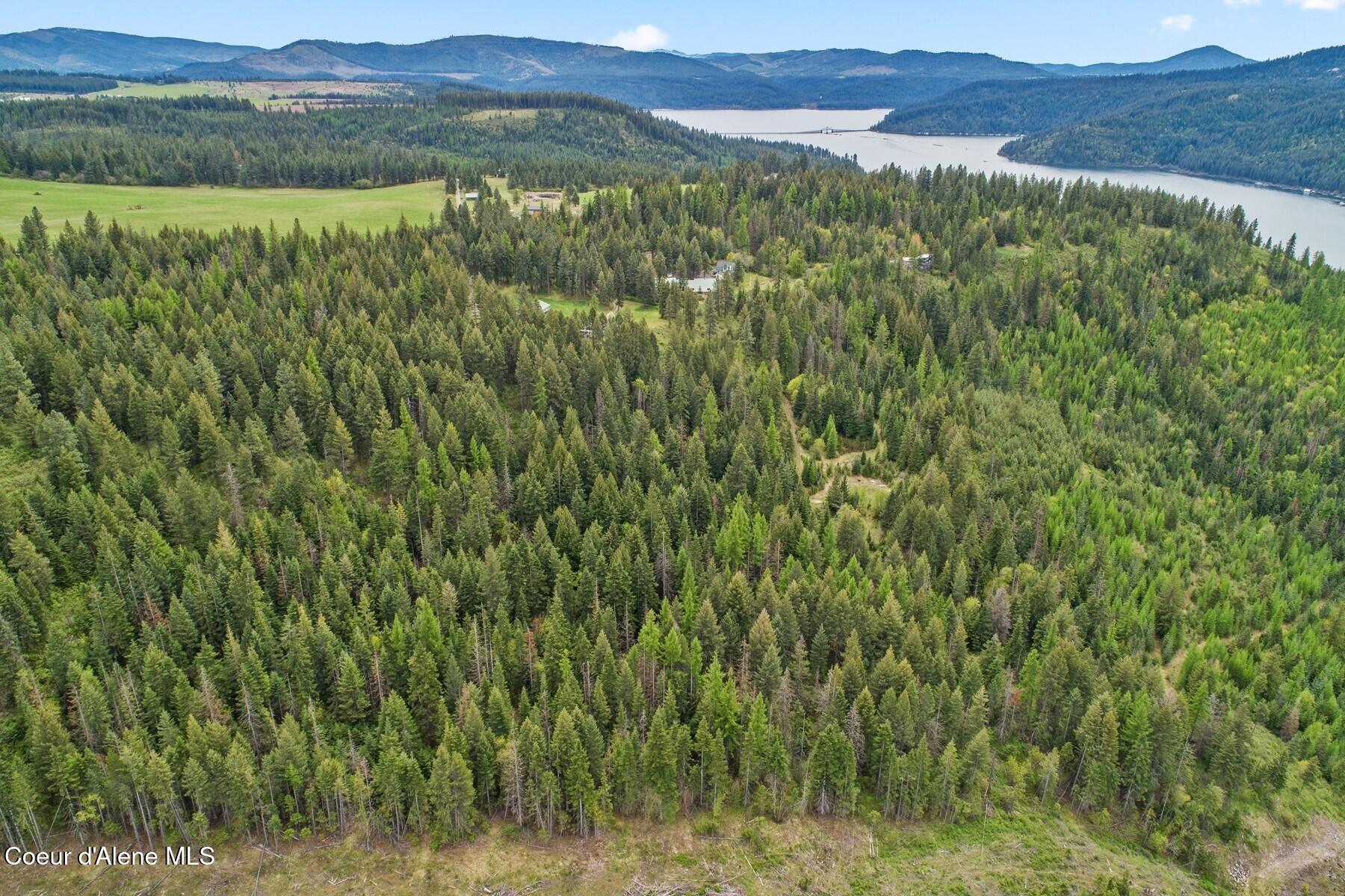 3467 East Sunset Drive Harrison, ID 83833 - Photo 51 of 54 Mountain Views