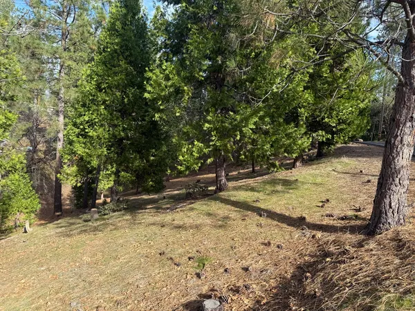 a view of a yard with wooden fence