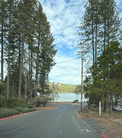 a view of a road with a trees
