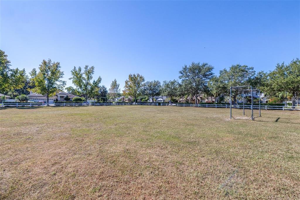 16641 Fairbolt Way Odessa, FL 33556 - Photo 42 of 53
