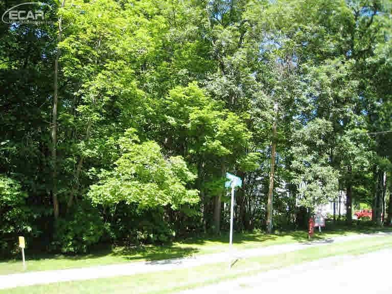 0 Thompson Howell, MI 48843 - Photo 2 of 12